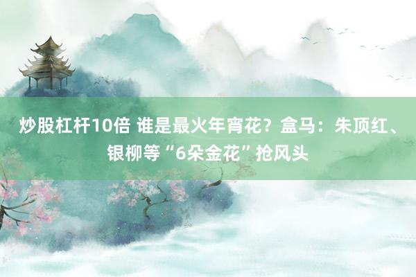 炒股杠杆10倍 谁是最火年宵花？盒马：朱顶红、银柳等“6朵金花”抢风头