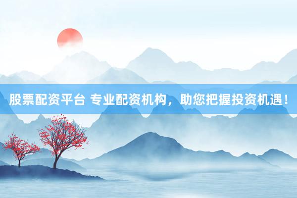 股票配资平台 专业配资机构，助您把握投资机遇！