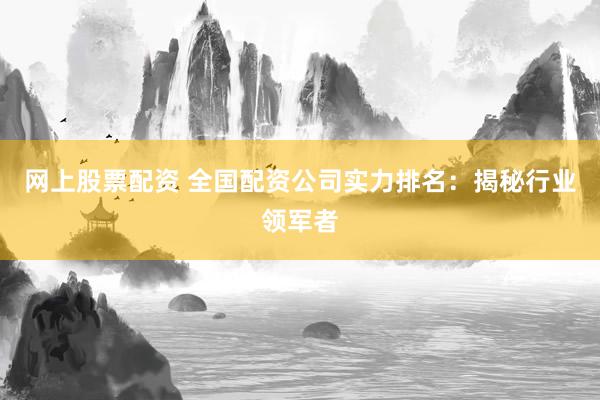 网上股票配资 全国配资公司实力排名：揭秘行业领军者